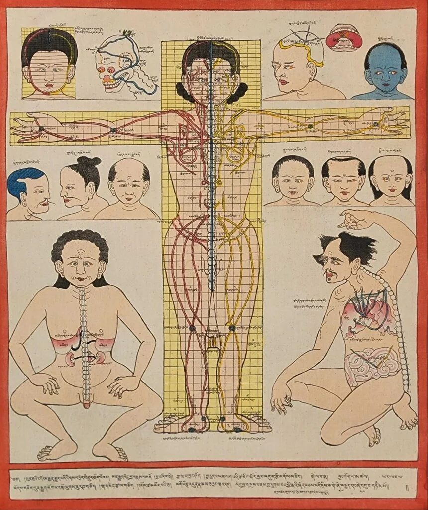 Traditional Medicine